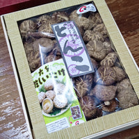 大分県産どんこ椎茸ギフト箱200g